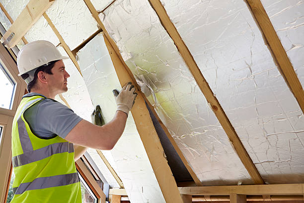 Best DIY Insulation Kits and Guidance in Edburgh, IN